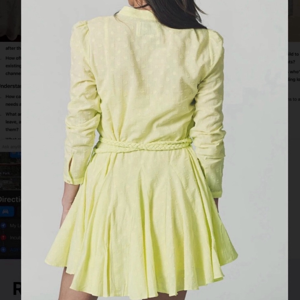 The Shirt by Rochelle Behrens The Jenica Dress - Picture 8 of 8